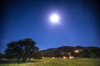 Serengeti Pioneer Camp Hotel Luaran gambar