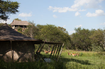 Serengeti Pioneer Camp Hotel Luaran gambar